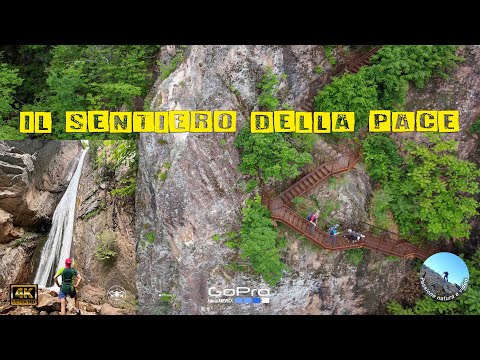 IL SENTIERO DELLA PACE DI CALDARO - Un bel trekking in mezzo al bosco e luogo di meditazione