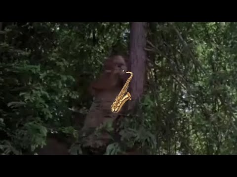 Epic Ewok Sax
