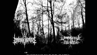 Immersed in Darkness - When The Sky Mourns (Outro)