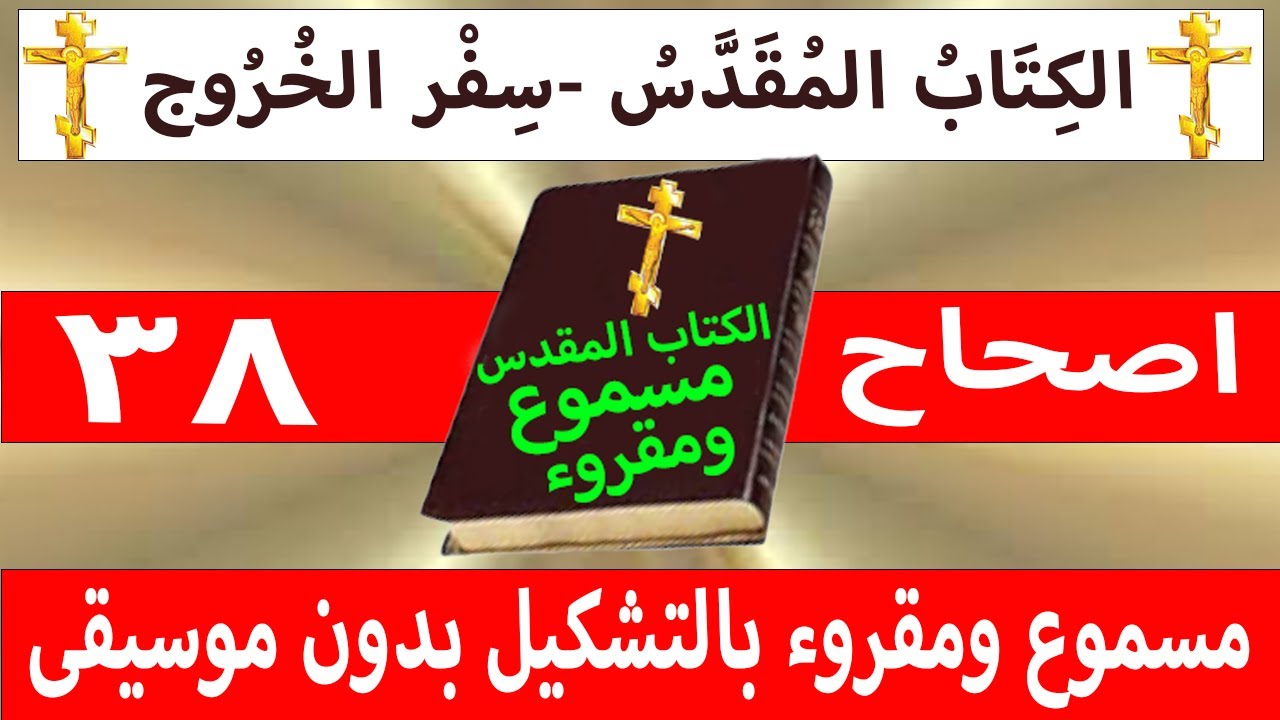فيديو تفسير الكتاب المقدس | الكتاب المقدس رفيقي