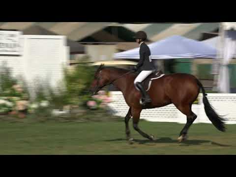 754 Round 2 - Brooke Morin - Akinda