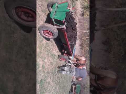 M îzu lu ciprian din laslau mic 1an şi2luni tracțiune