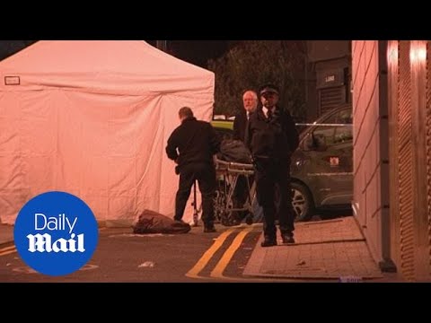 Two fatalities on same night send London's murder tally above 50 - Daily Mail