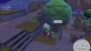 ぽこあポケモン🙀　その１