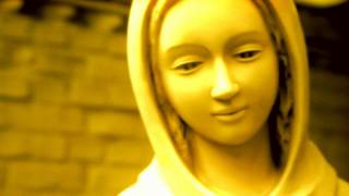 Crime In Stereo &quot;Bicycles for Afghanistan&quot;