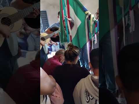 folia de ouro fino 2022