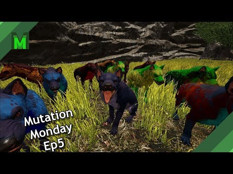 Fully mutated Hyaenodon!  Mutation Monday Ep 5