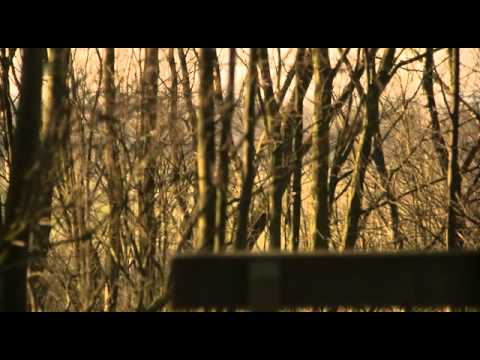 Todesfalle Internet - im Chat mit dem Moerder Teil 2/2