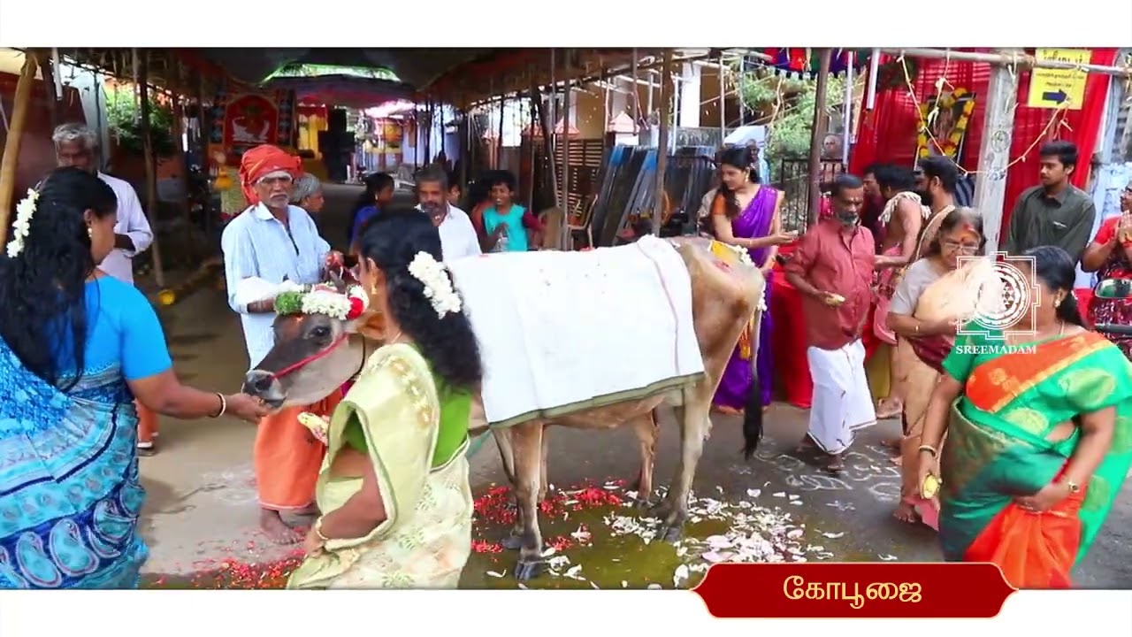 Gopooja | Sadguru Sri Sadasiva Brahmendral Aarathanai | #SreeMadam | #Derisanamcope | 11-05-2022