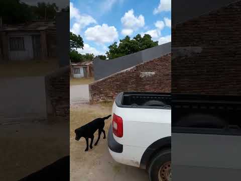 PULPERIA 1887 en  Polanco  Lavalleja  aun funcionando.