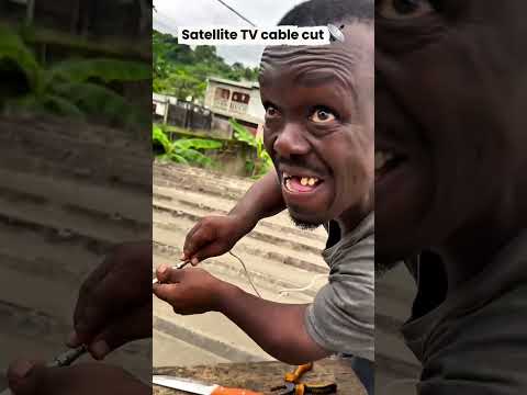 phim hài giải trí