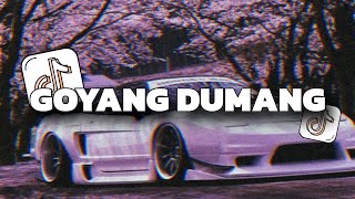 Download lagu DJ AYO GOYANG DUMANG FYP TIKTOK (BOOTLEG) - Imamsidik - DANZ WG (edit) mp3