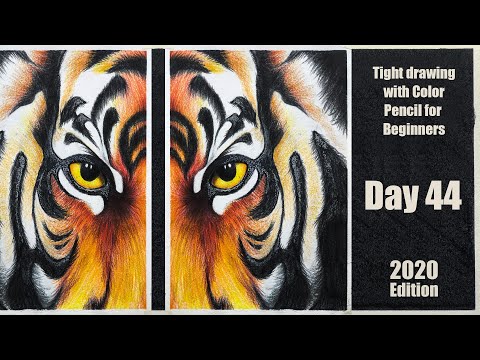 Drawing for Beginners Step by Step | Day 011 Part 1 | Basic Pencil Shading Technique Part 1