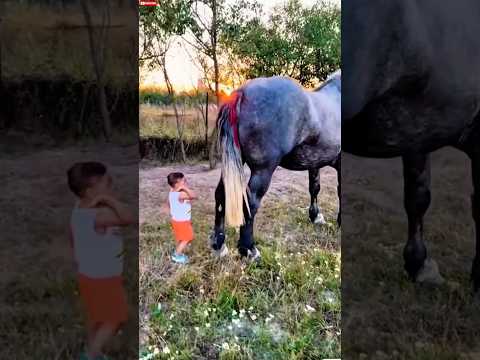 Este niño se acercó por detrás de un caballo gigante 😨⚠️ #horse #shorts #caballos #usa #farm #viral