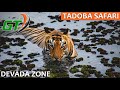 Tadoba Tiger Reserve E2 Devada Zone Safari
