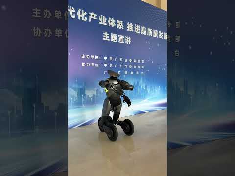 GoMate Review Video 4