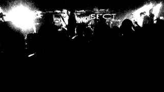 TOXIC HOLOCAUST - Bitch