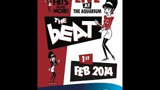 The Beat Live - Spar Wid Me - The Aquarium - Lowestoft 01/02/14