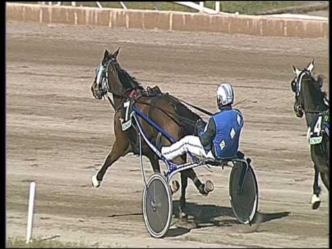 Trotto 12/03/2017 - 1ª corsa