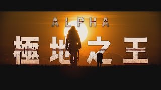 【極地之王】震撼視覺饗宴