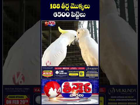 Telangana’s Eco Hill Park Inaugurated At Kothwalguda : 6500 Birds , 188 Plants Thrill Visitors | V6