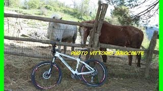 preview picture of video 'In Liguria con mountain bike Scout'