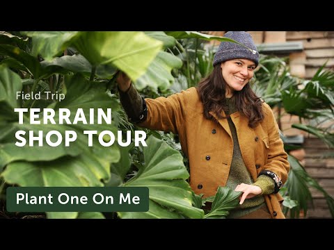TERRAIN Tour & Merchandising The Plant Lifestyle — Ep. 274