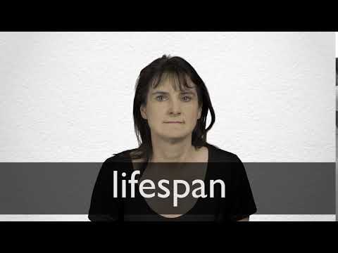 Hindi Translation Of Lifespan Collins English Hindi Dictionary Hindi Translation Of Lifespan Collins English Hindi Dictionary