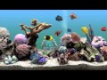 Marine Aquarium Deluxe 3.0 For Windows