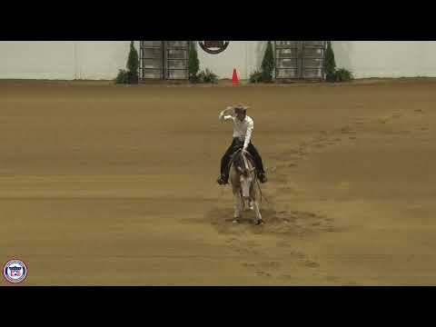 2024 Quarter Horse Congress Open Futurity Finals Luca Fappani on Sweeet Child Of Mine