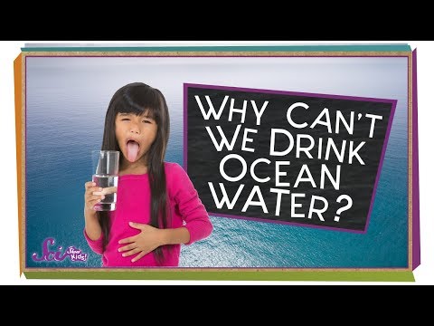 Why Can't We Drink the Ocean?