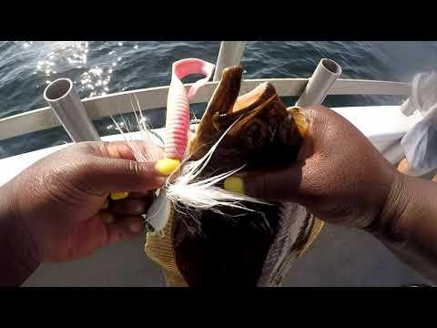 My First Fluke Limit on the Big Mohawk