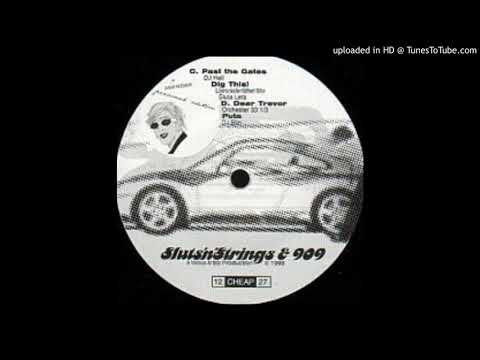 Sluts'n'Strings & 909 - Dig This! (Lijersrastertäthet Mix) (Sluta Leta Remix)