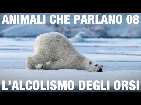 La codificazione da medicine di alcolismo Campione dellordine della commissione per lotta contro alcolismo e alcolismo