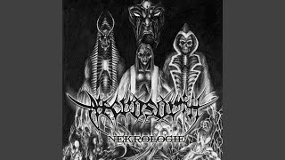 Hominis Nocturna