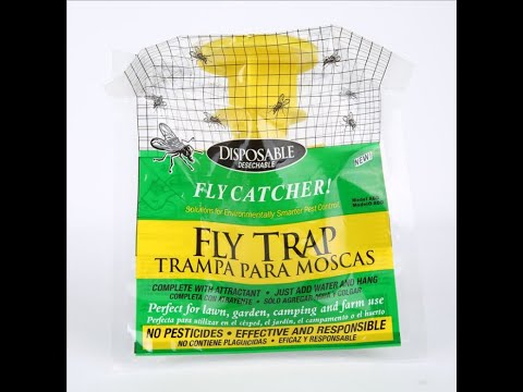 How to kill the flies in the restaurant or market? -- Pestman Fly Trap