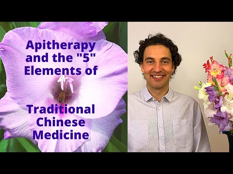 , title : 'Apitherapy and the 5 Elements of Traditional Chinese Medicine TCM'