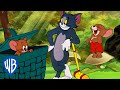 Tom & Jerry in italiano | Un po' di aria fresca! | WB Kids