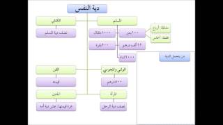صورة فقه الجنايات من التأهيل الفقهي 03 عامر بهجت - دية النفس