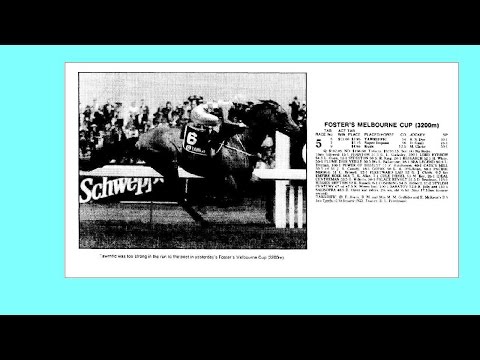 1989 VRC Melbourne Cup