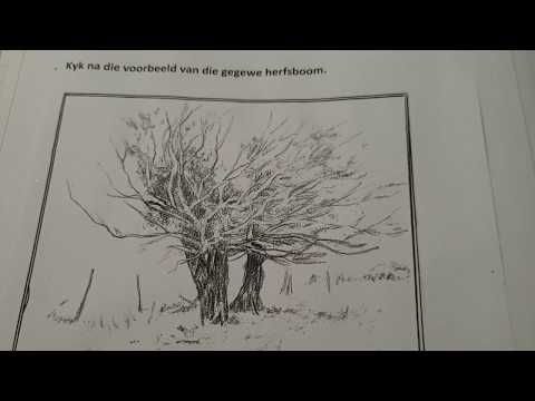 SKEPPENDE KUNSTE GRAAD 9: 20 April 2020 - periode 4 (2094)