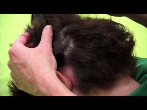 How to check a boys head for head lice