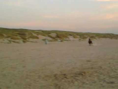 Training lombre del sol + djetcan