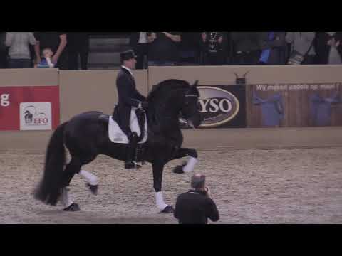 Paard van het jaar 2019