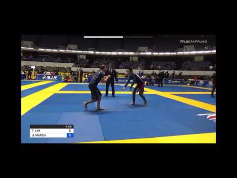 2019 IBJJF No-Gi World Championship Master 1 Blue Feather