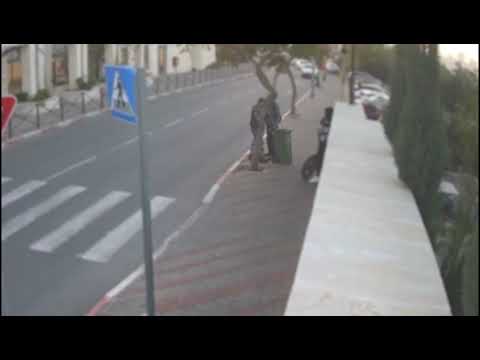 למה תקפו עובד תברואה ?