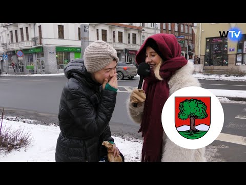 Wałbrzych Television - Survey: basic knowledge about Wałbrzych