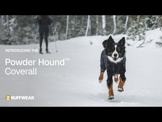Ruffwear Powder Hound Waterproof Insulated Coverall