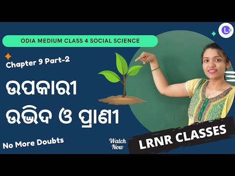 Odia Medium Class 4 Samajika Bigyana Chapter 9 Upakari Udvida O Prani |ଉପକାରୀ ଉଦ୍ଭିଦ ଓ ପ୍ରାଣୀ Part-2
