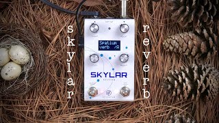 GFI System Skylar Reverb - What To Know & Where To Buy GFI System Skylar Reverb - What To Know & Where To Buy
